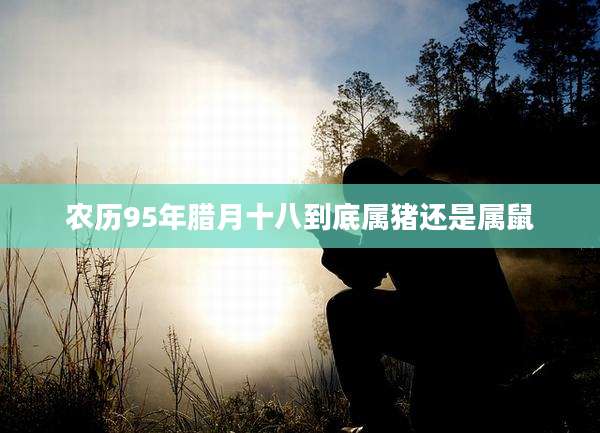 农历95年腊月十八到底属猪还是属鼠