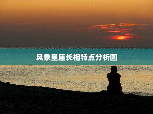 风象星座长相特点分析图