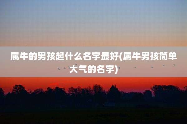 属牛的男孩起什么名字最好(属牛男孩简单大气的名字)