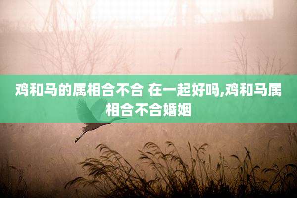 鸡和马的属相合不合 在一起好吗,鸡和马属相合不合婚姻