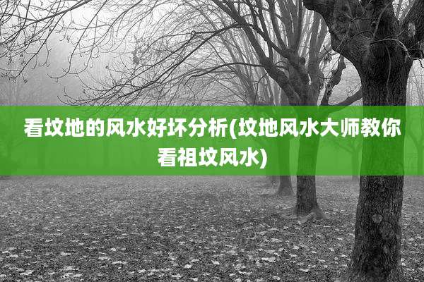 看坟地的风水好坏分析(坟地风水大师教你看祖坟风水)