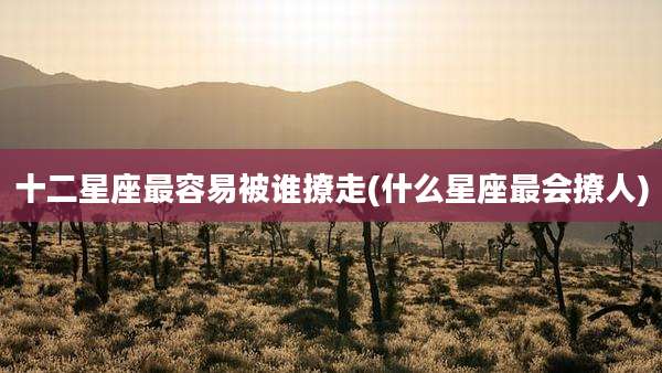 十二星座最容易被谁撩走(什么星座最会撩人)