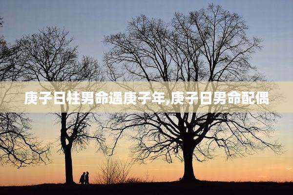 庚子日柱男命遇庚子年,庚子日男命配偶