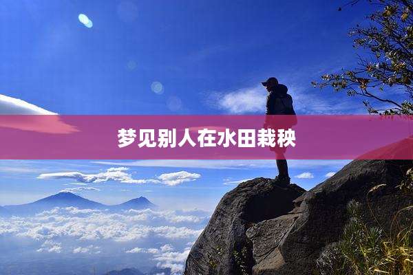 梦见别人在水田栽秧