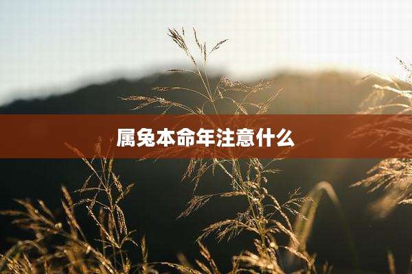 属兔本命年注意什么