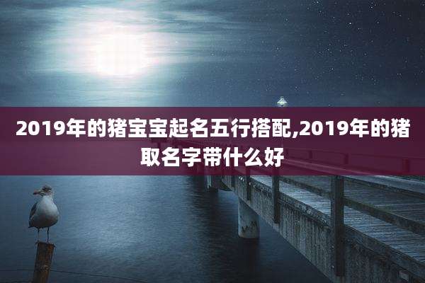 2019年的猪宝宝起名五行搭配,2019年的猪取名字带什么好