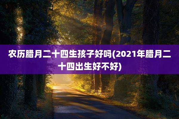 农历腊月二十四生孩子好吗(2021年腊月二十四出生好不好)