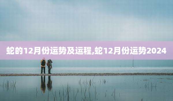 蛇的12月份运势及运程,蛇12月份运势2024