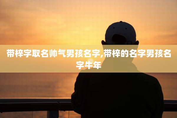 带梓字取名帅气男孩名字,带梓的名字男孩名字牛年