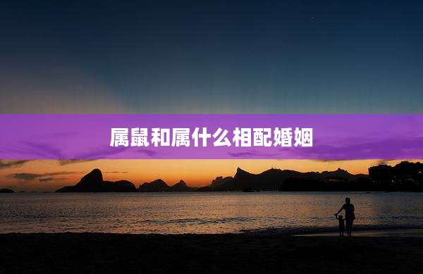 属鼠和属什么相配婚姻