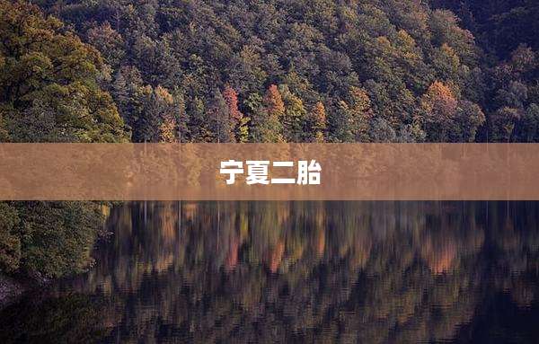 宁夏二胎