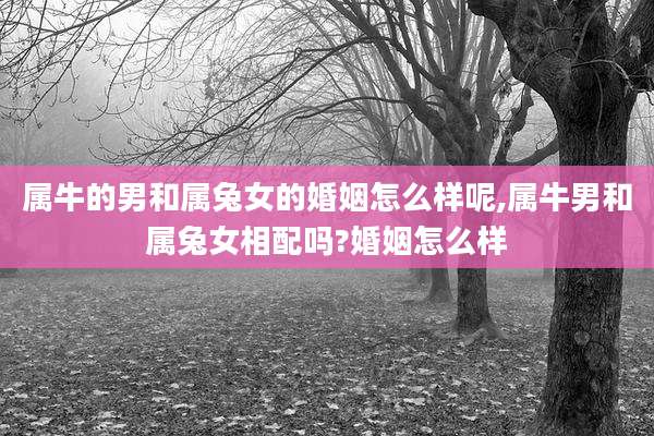 属牛的男和属兔女的婚姻怎么样呢,属牛男和属兔女相配吗?婚姻怎么样