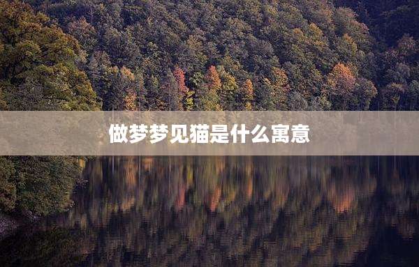 做梦梦见猫是什么寓意