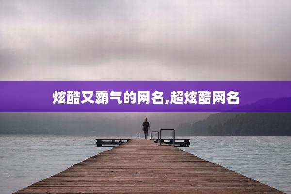 炫酷又霸气的网名,超炫酷网名