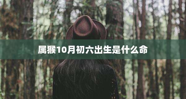属猴10月初六出生是什么命