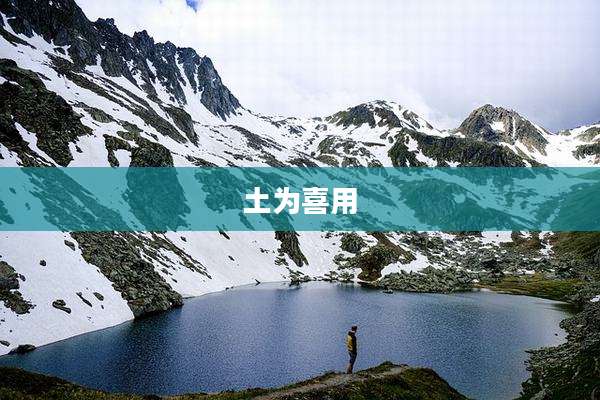 土为喜用