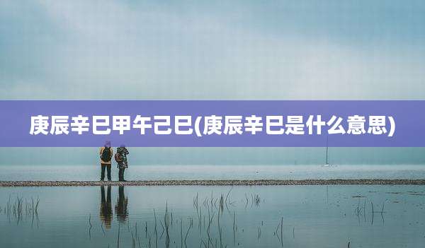 庚辰辛巳甲午己巳(庚辰辛巳是什么意思)