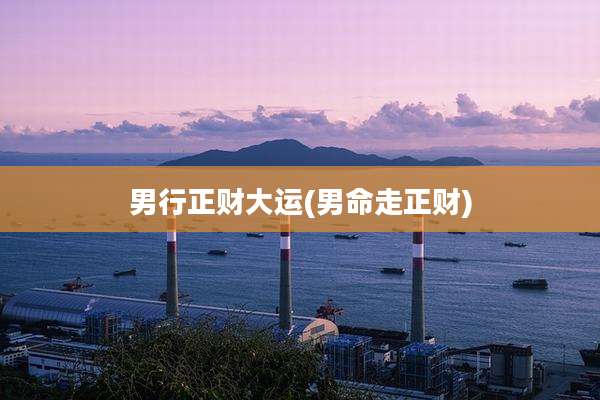 男行正财大运(男命走正财)