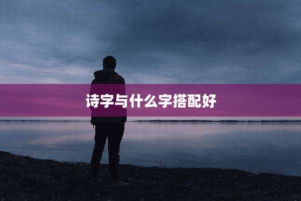 诗字与什么字搭配好