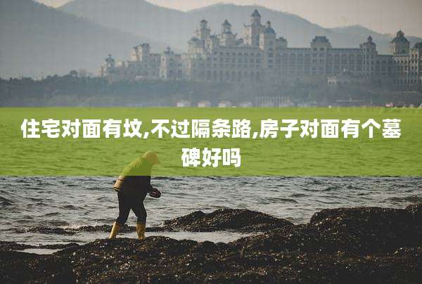 住宅对面有坟,不过隔条路,房子对面有个墓碑好吗
