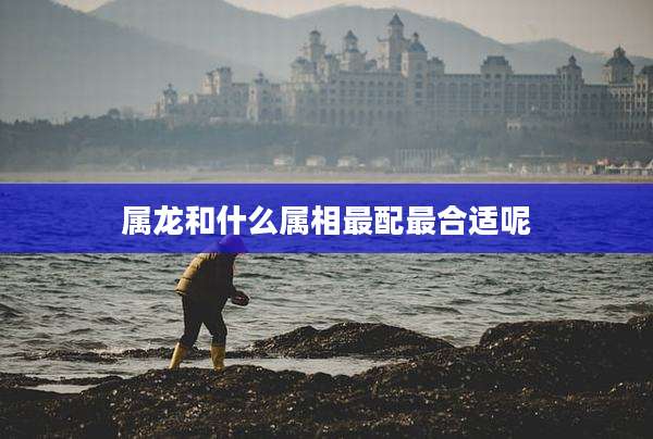 属龙和什么属相最配最合适呢