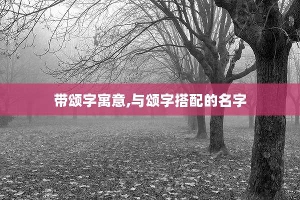 带颂字寓意,与颂字搭配的名字