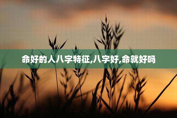 命好的人八字特征,八字好,命就好吗