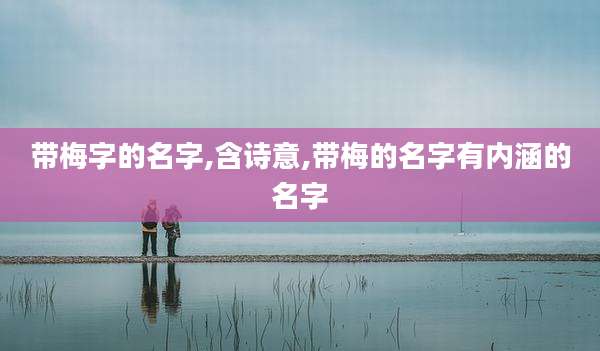 带梅字的名字,含诗意,带梅的名字有内涵的名字
