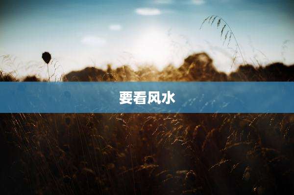 要看风水