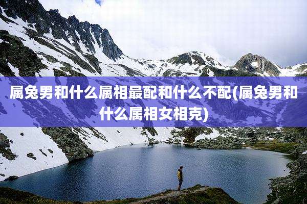 属兔男和什么属相最配和什么不配(属兔男和什么属相女相克)