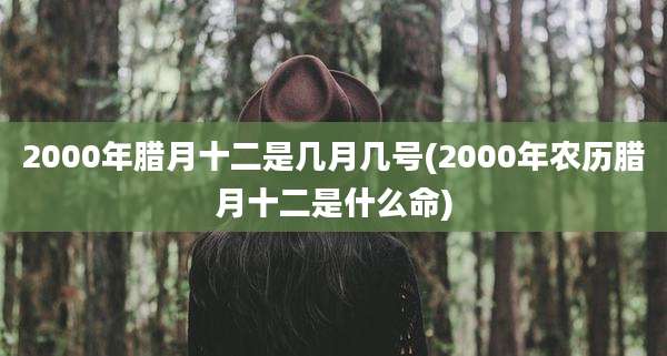 2000年腊月十二是几月几号(2000年农历腊月十二是什么命)