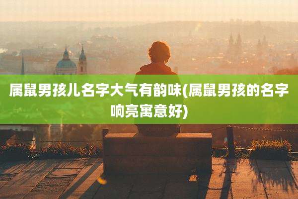 属鼠男孩儿名字大气有韵味(属鼠男孩的名字响亮寓意好)