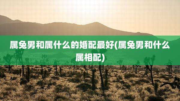 属兔男和属什么的婚配最好(属兔男和什么属相配)