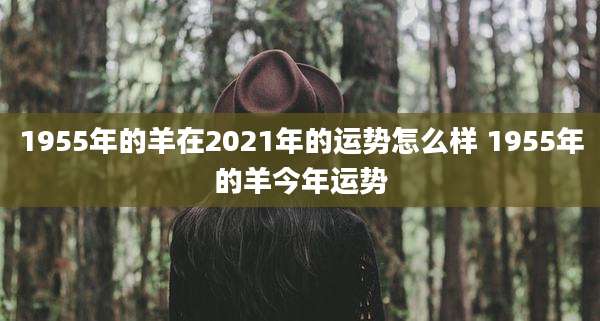 1955年的羊在2021年的运势怎么样 1955年的羊今年运势