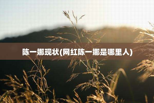 陈一娜现状(网红陈一娜是哪里人)