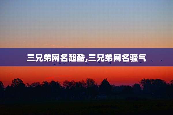 三兄弟网名超酷,三兄弟网名骚气