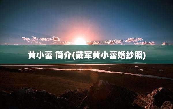 黄小蕾 简介(戴军黄小蕾婚纱照)