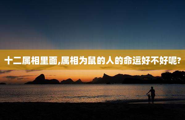十二属相里面,属相为鼠的人的命运好不好呢?