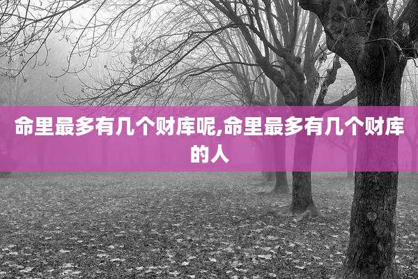 命里最多有几个财库呢,命里最多有几个财库的人