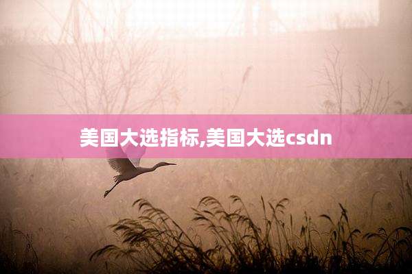 美国大选指标,美国大选csdn