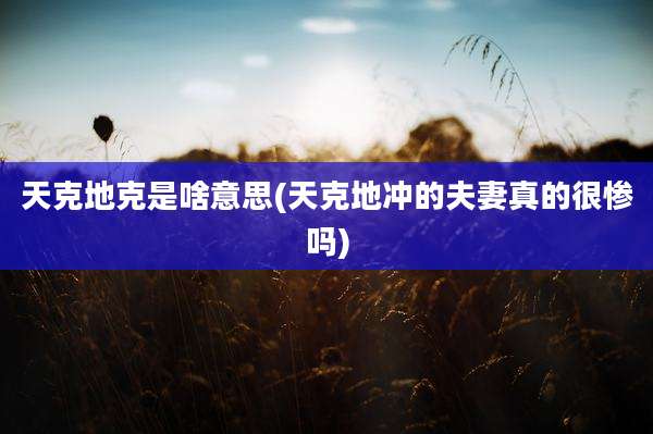 天克地克是啥意思(天克地冲的夫妻真的很惨吗)