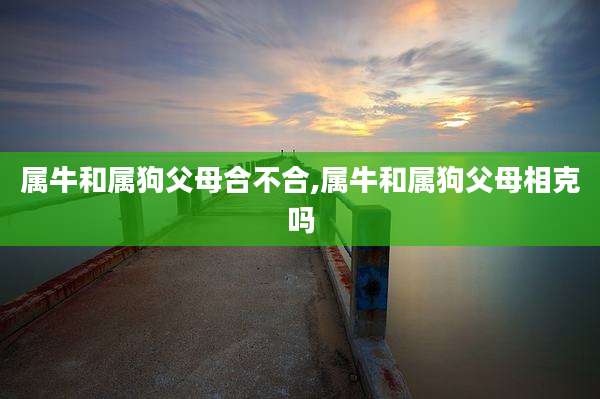 属牛和属狗父母合不合,属牛和属狗父母相克吗