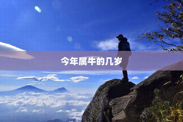 今年属牛的几岁