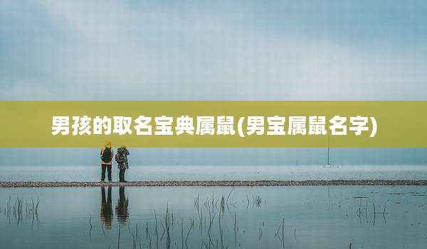 男孩的取名宝典属鼠(男宝属鼠名字)