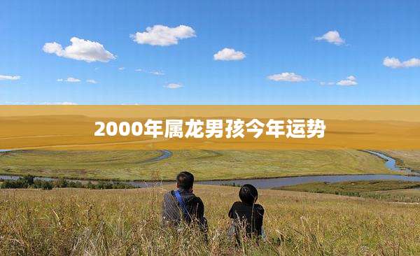 2000年属龙男孩今年运势