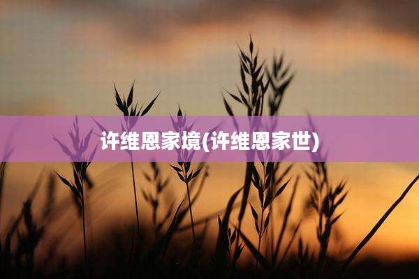 许维恩家境(许维恩家世)