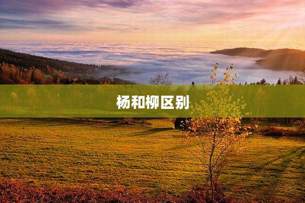 杨和柳区别