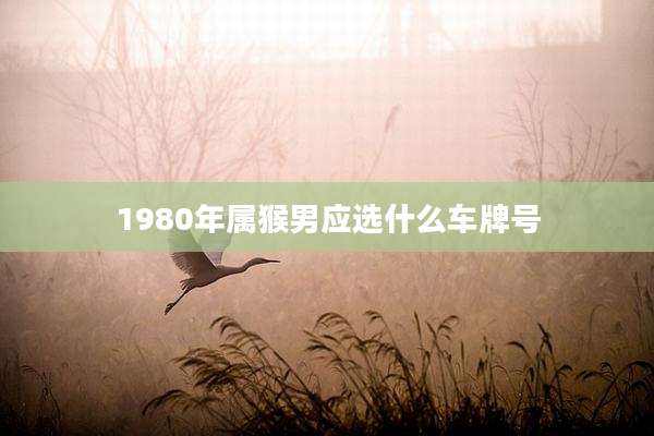 1980年属猴男应选什么车牌号