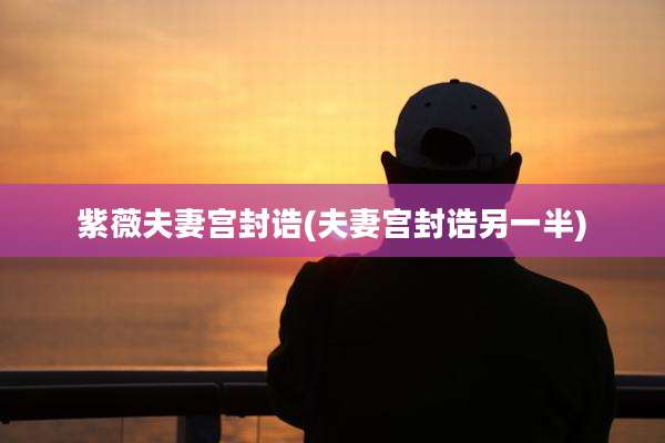 紫薇夫妻宫封诰(夫妻宫封诰另一半)