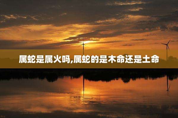 属蛇是属火吗,属蛇的是木命还是土命